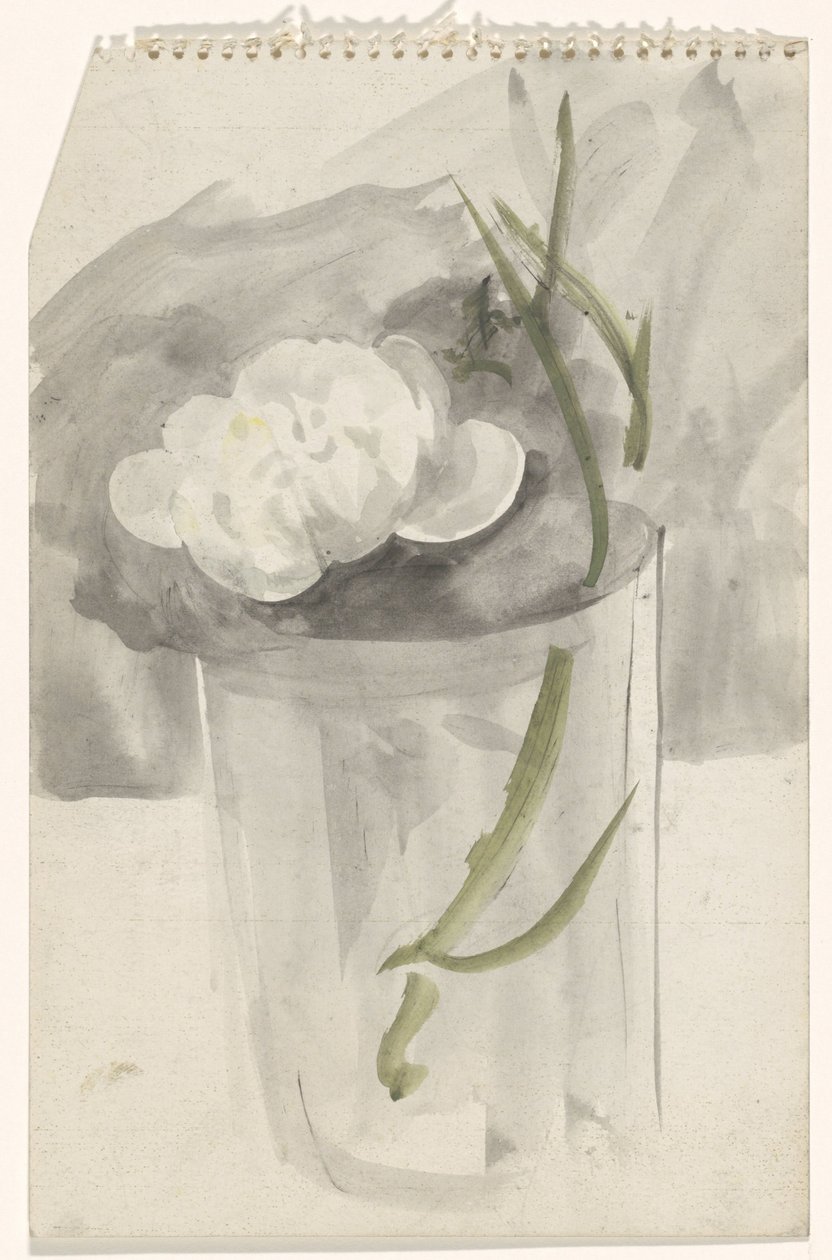 Vit blomma i ett glas av Carel Adolph Lion Cachet