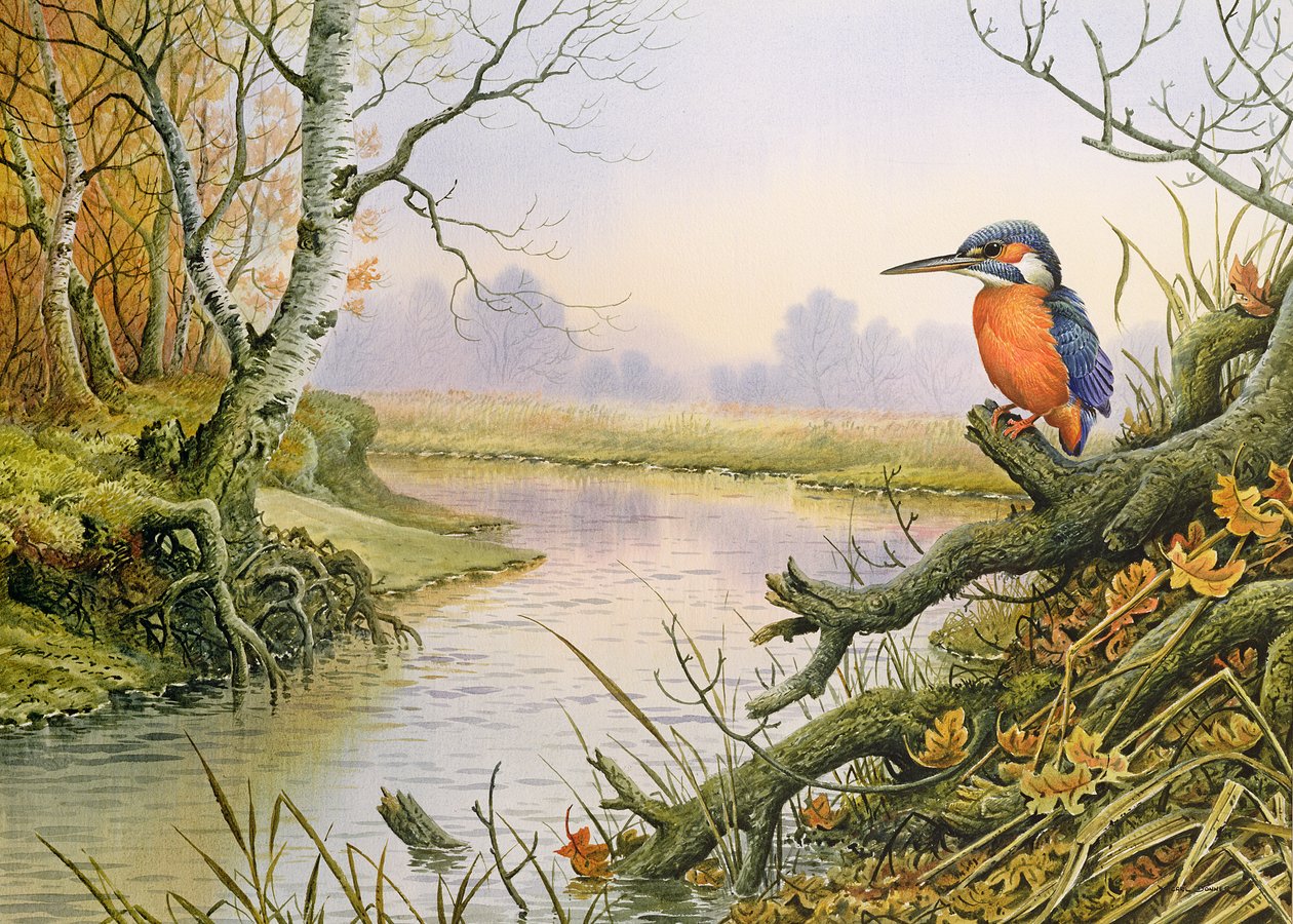 Kingfisher: Autumn River Scene av Carl Donner