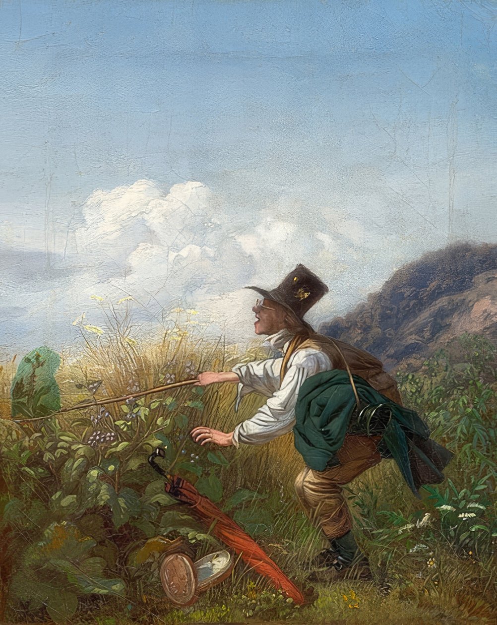 Fjärilsfångaren (botaniker). Omkring 1837 av Carl Spitzweg