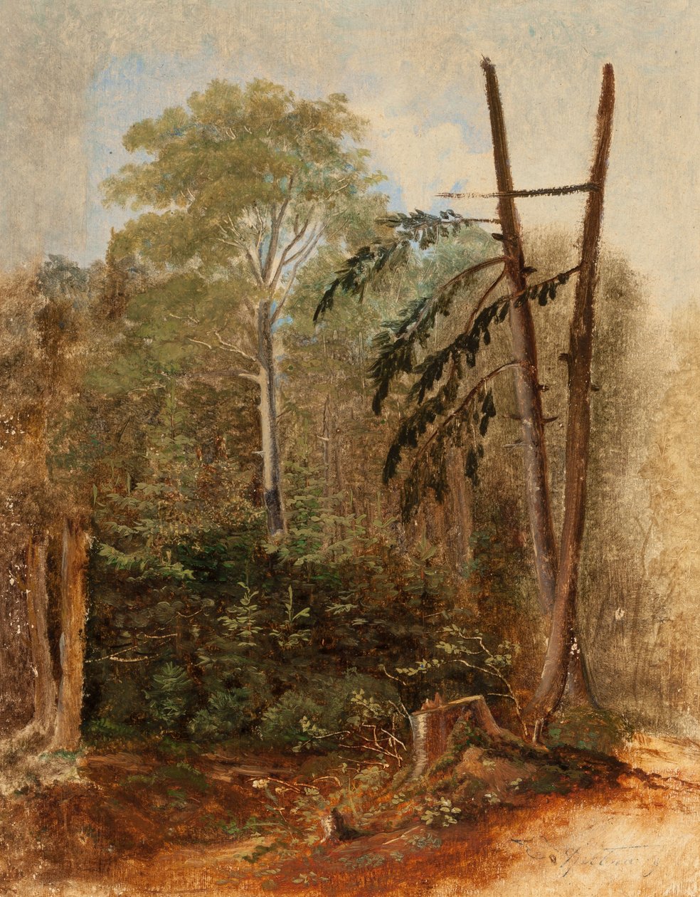 Studie einer Waldlandschaft av Carl Spitzweg