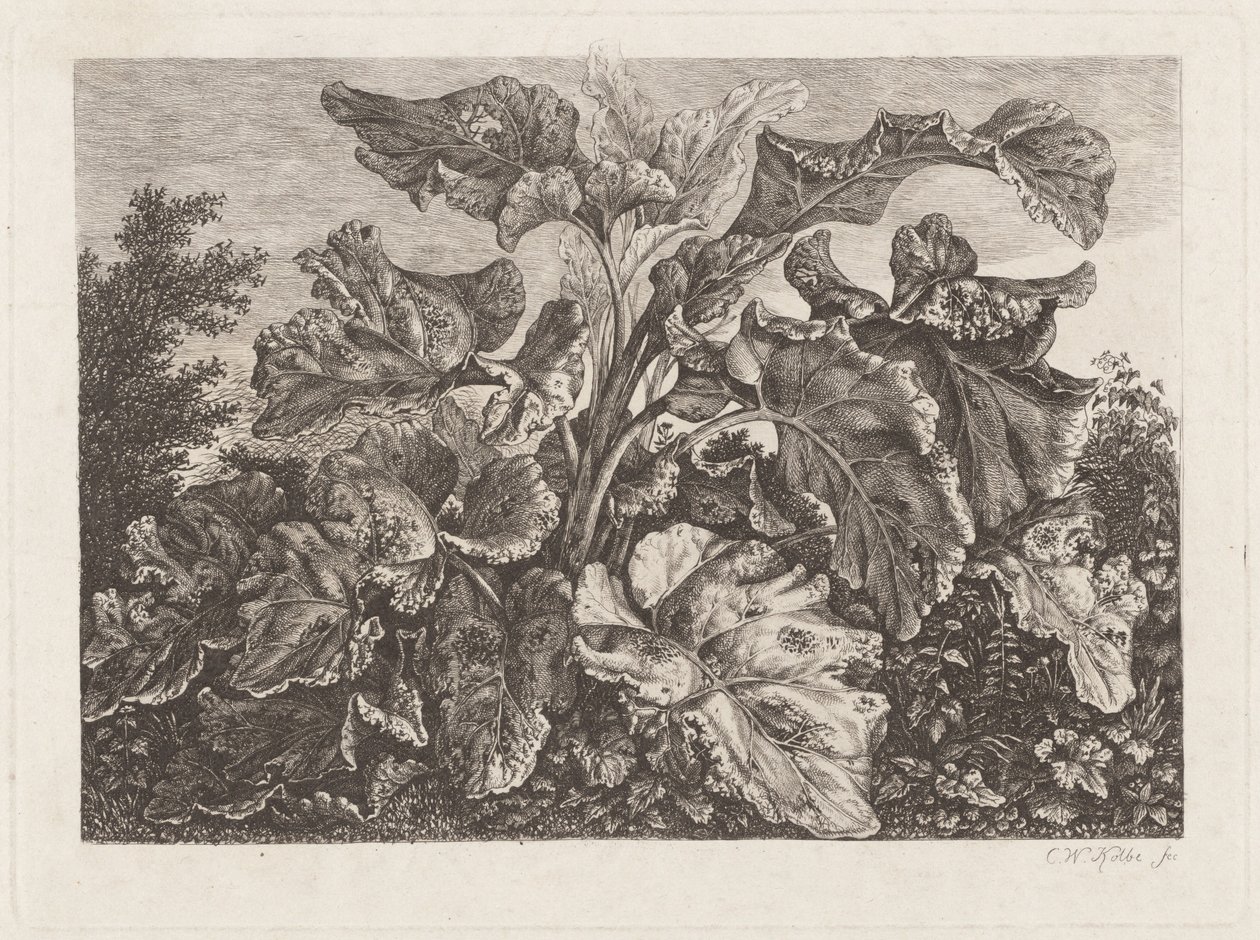 Plantstudie med kardborre av Carl Wilhelm Kolbe