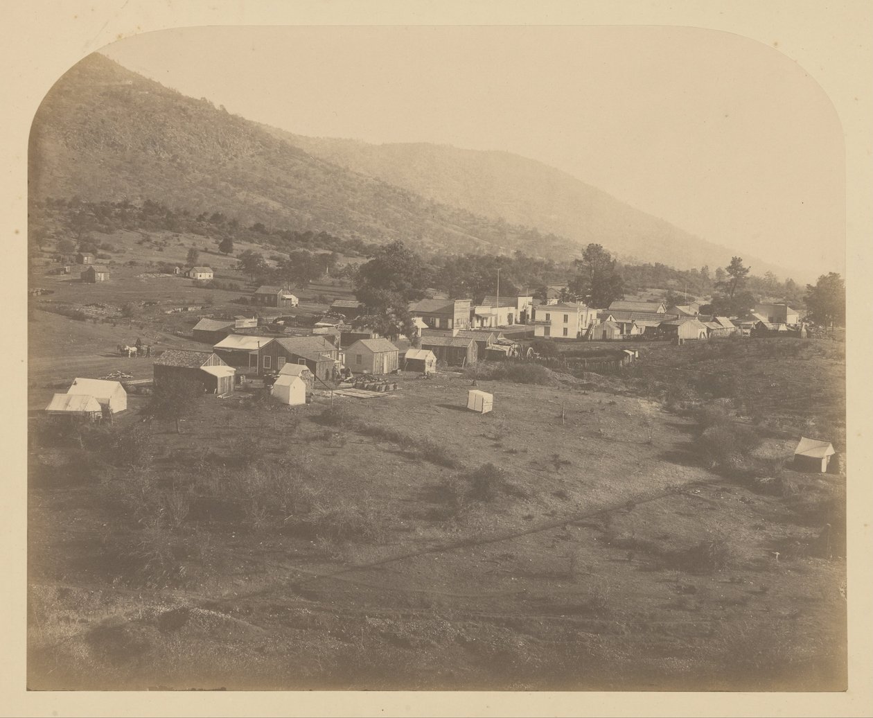 (Bear Valley av Carleton E. Watkins