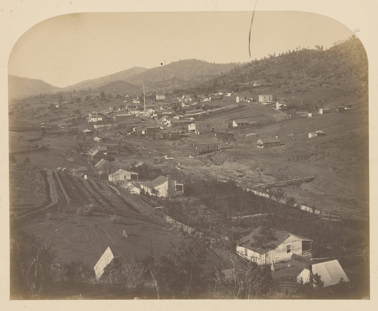 (Mariposa av Carleton E. Watkins