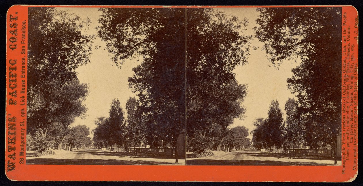 (Trädkantad gatuvy över San Gabriel, Kalifornien) av Carleton E. Watkins