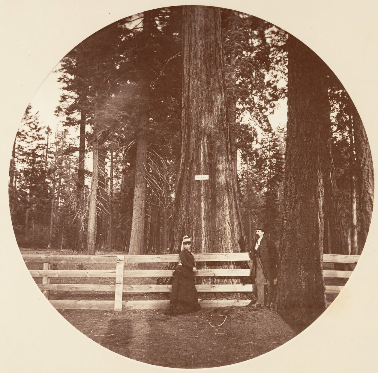 Auld Reckie. C. Grove, ca. 1878. av Carleton Emmons Watkins