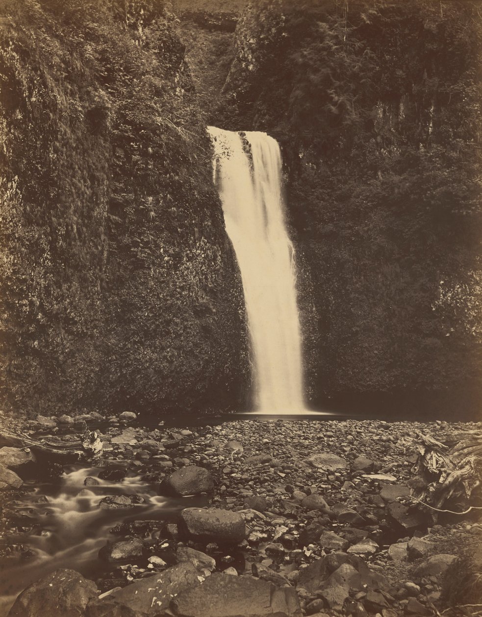 Lower Multnomah Falls, Columbia River,1867 (foto) av Carleton Emmons Watkins