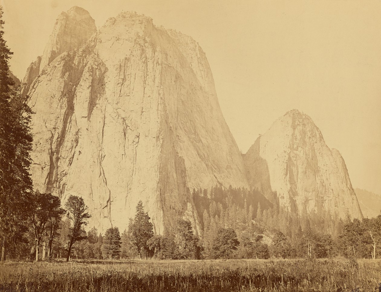 [Cathedral Rocks, 2600 fot höga] av Carleton Watkins