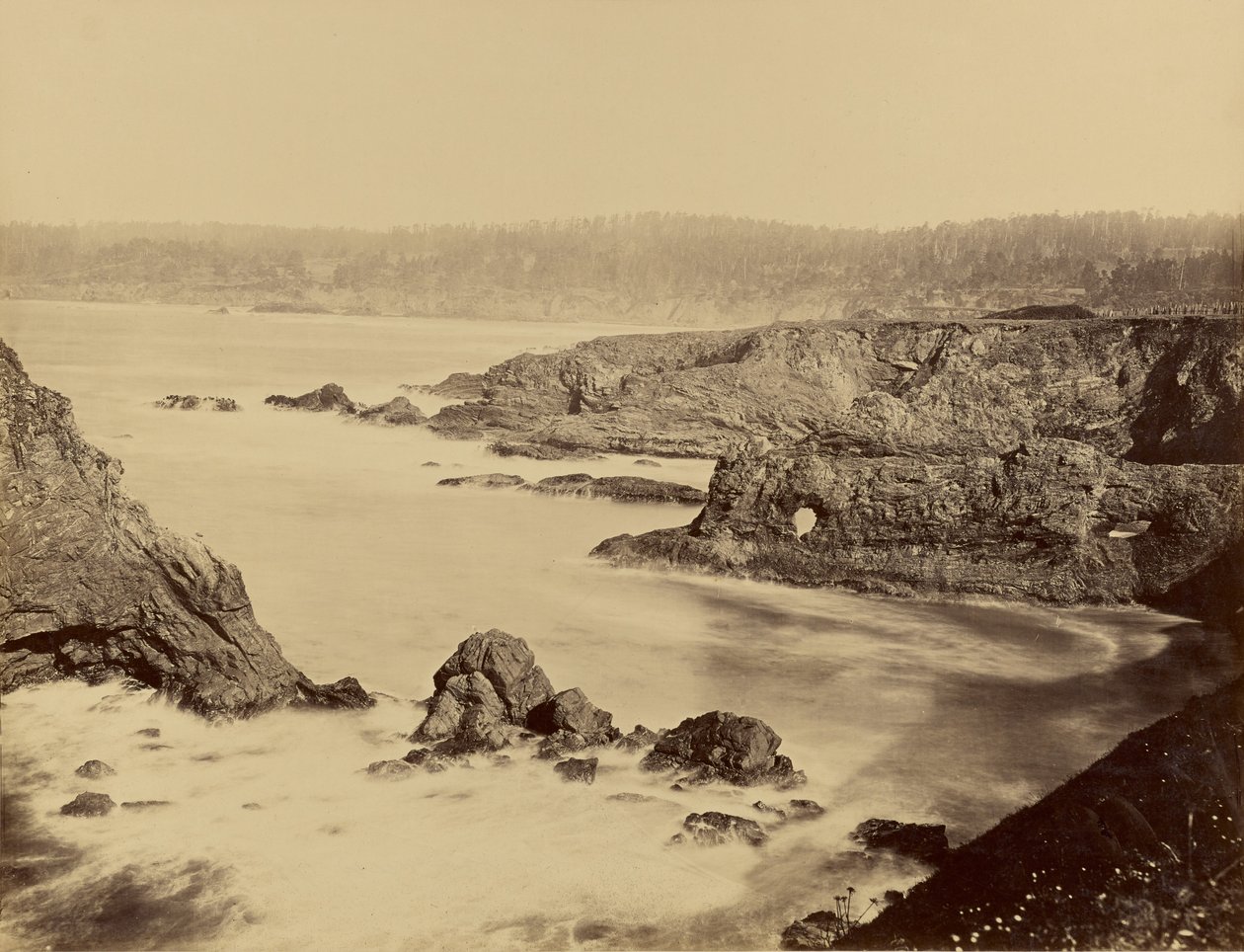 [Kustvy av Mendocino] av Carleton Watkins