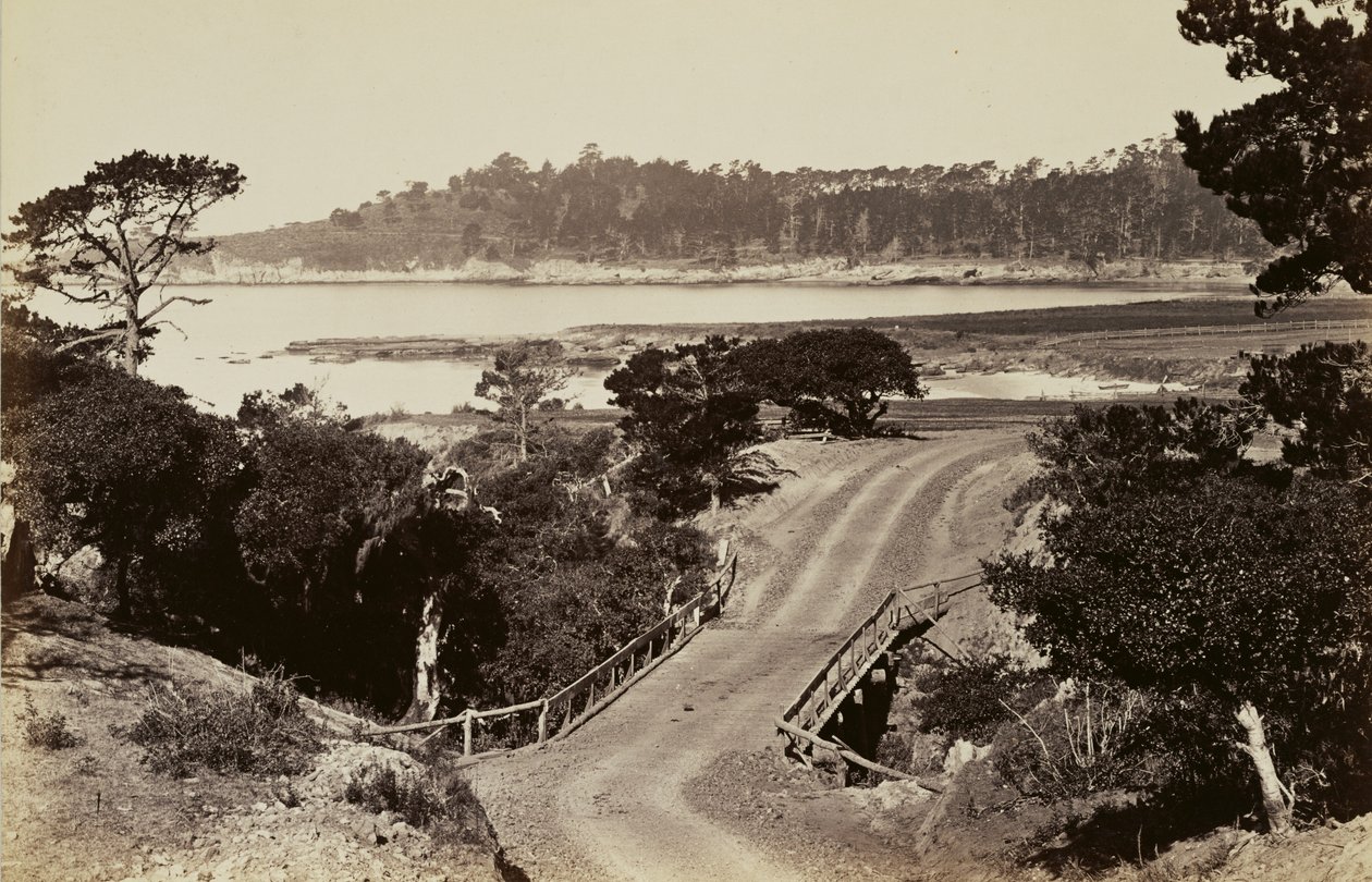 [Kustvy nära Monterey] av Carleton Watkins