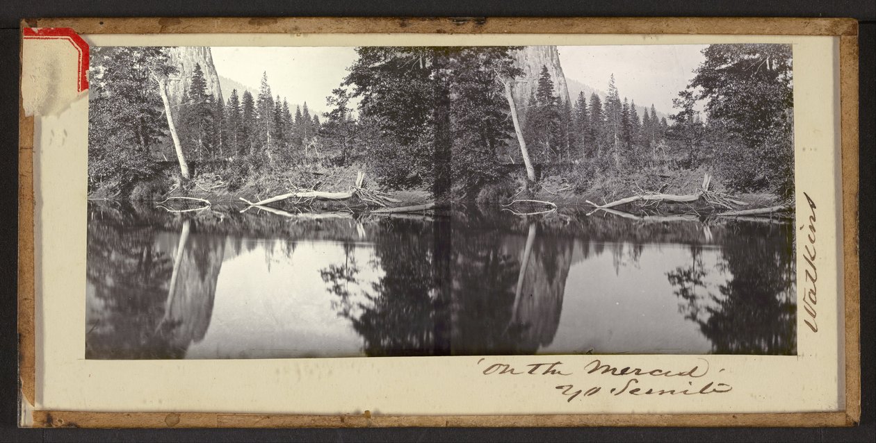 "On the Merced" Yo Semite av Carleton Watkins