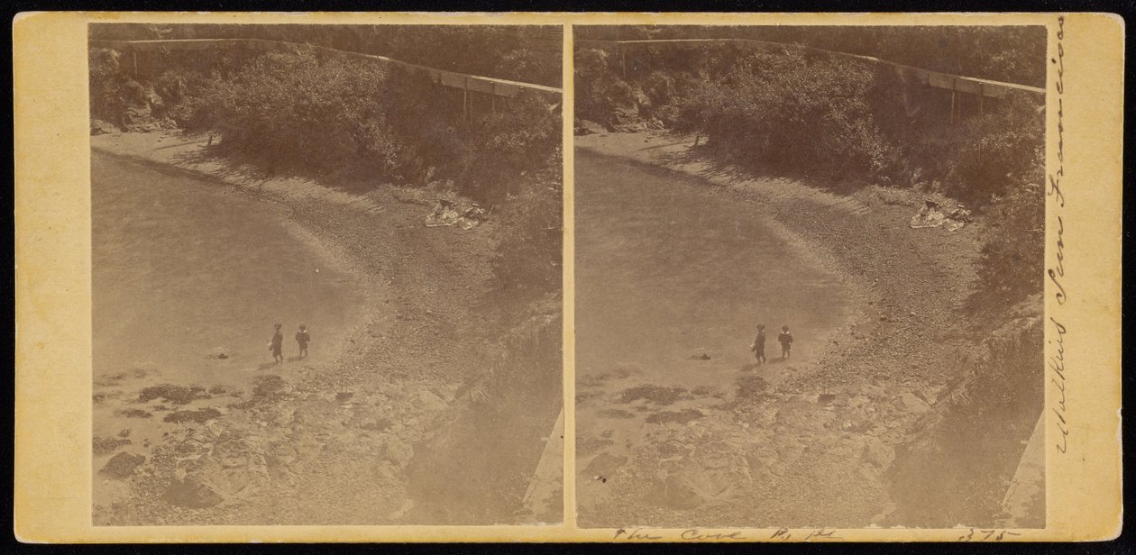 The Cove, S.F av Carleton Watkins