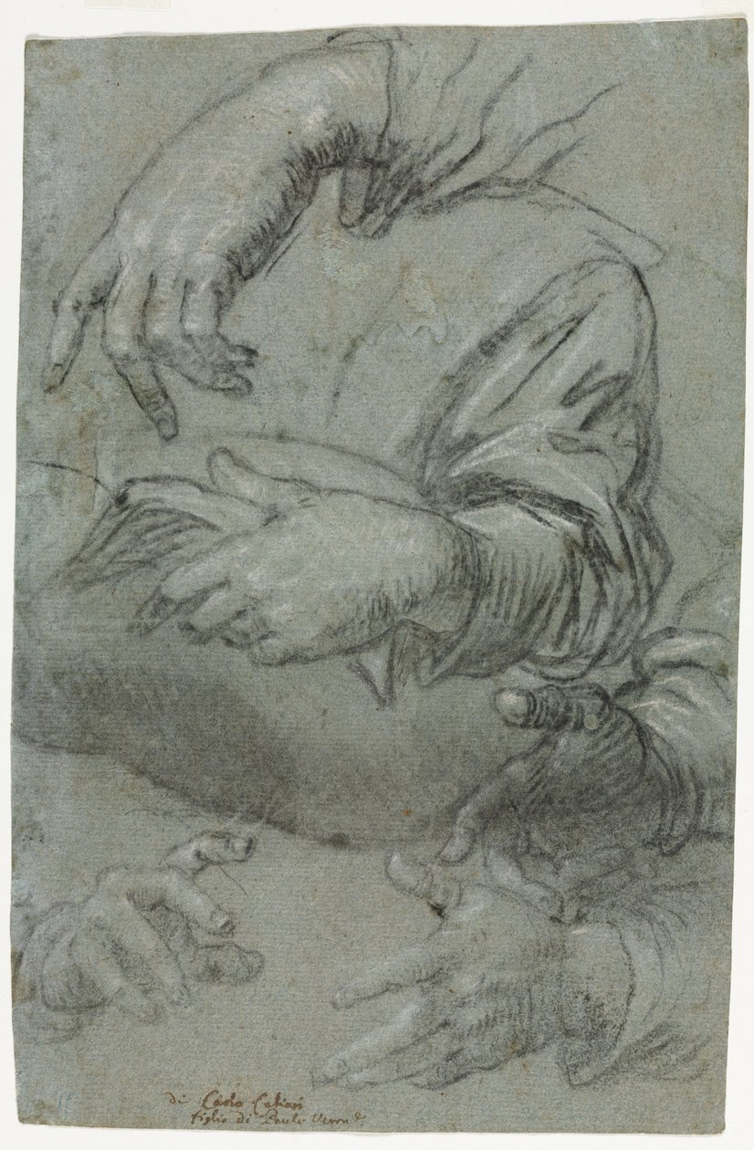Studies of Hands (recto) av Carletto Caliari