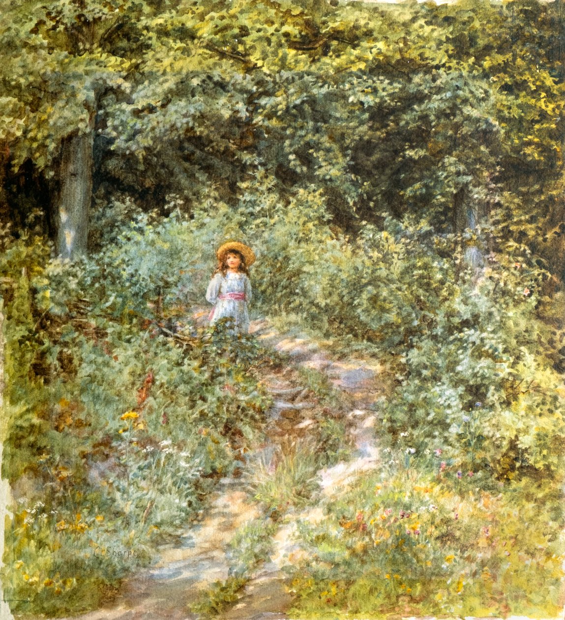 Stigen genom skogen (akvarell) av Caroline Paterson