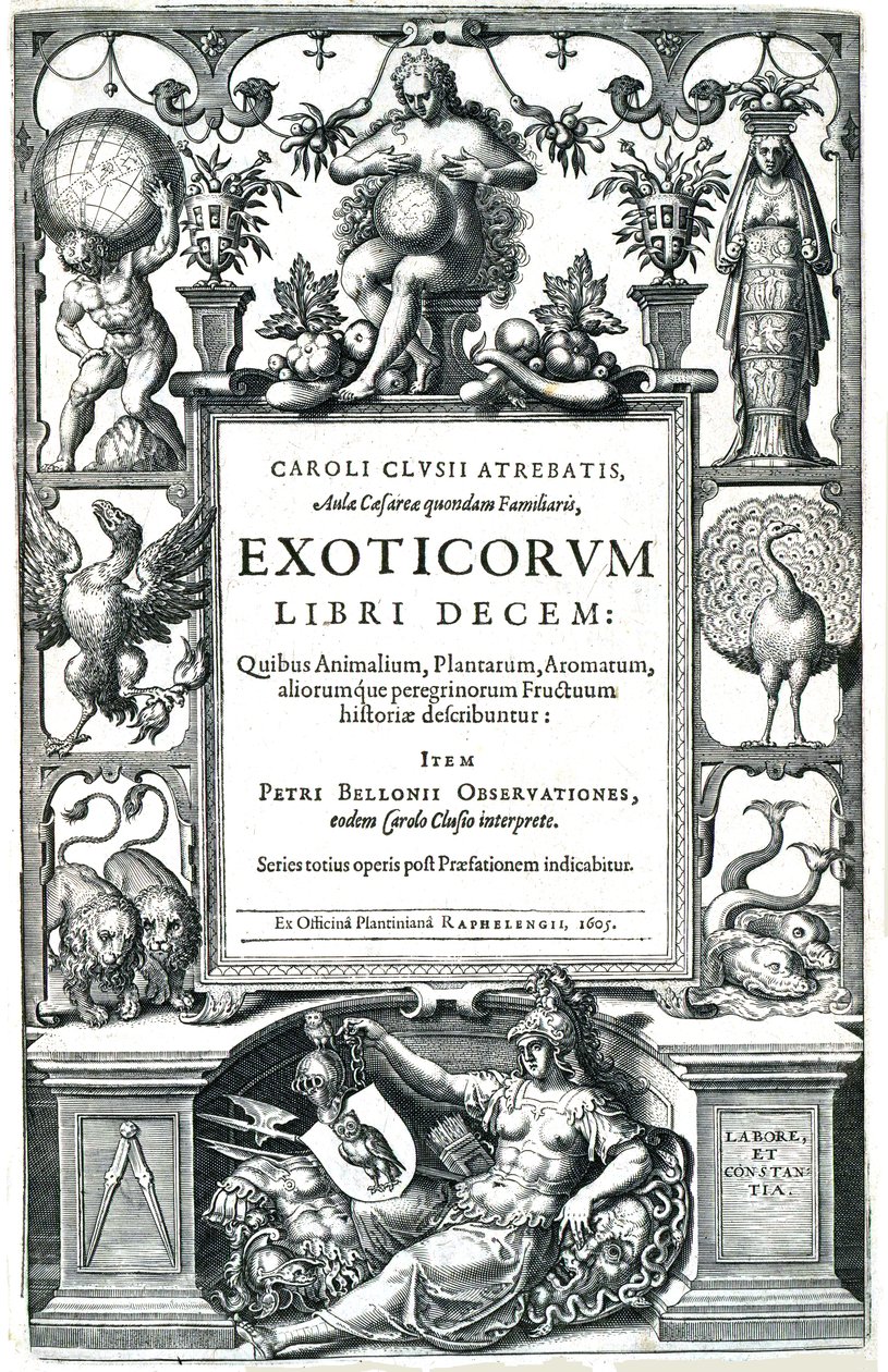 Exotiskorumbok av Carolus Clusius