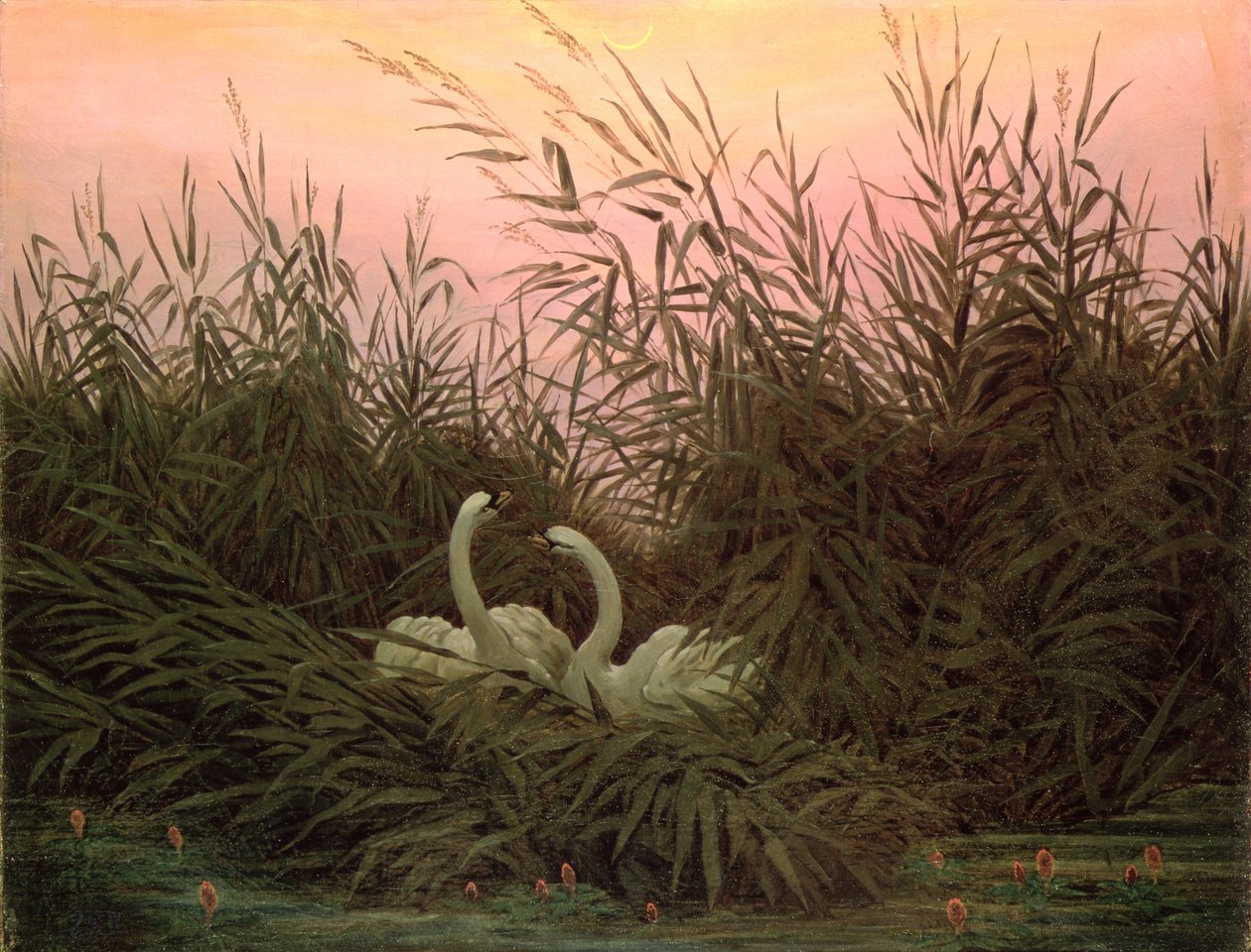 Swans in the Reeds, c.1820 swed av Caspar David Friedrich