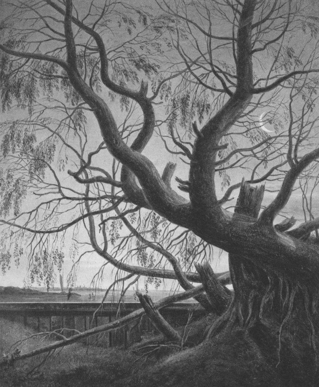 Weide im Mondlicht av Caspar David Friedrich