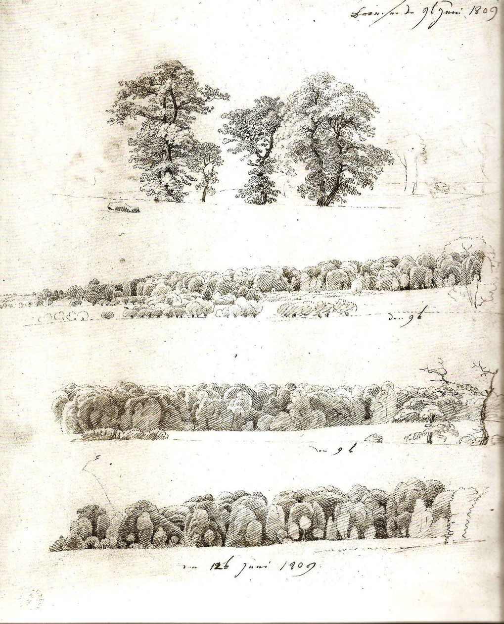 Studier av träd 1809 av Caspar David Friedrich