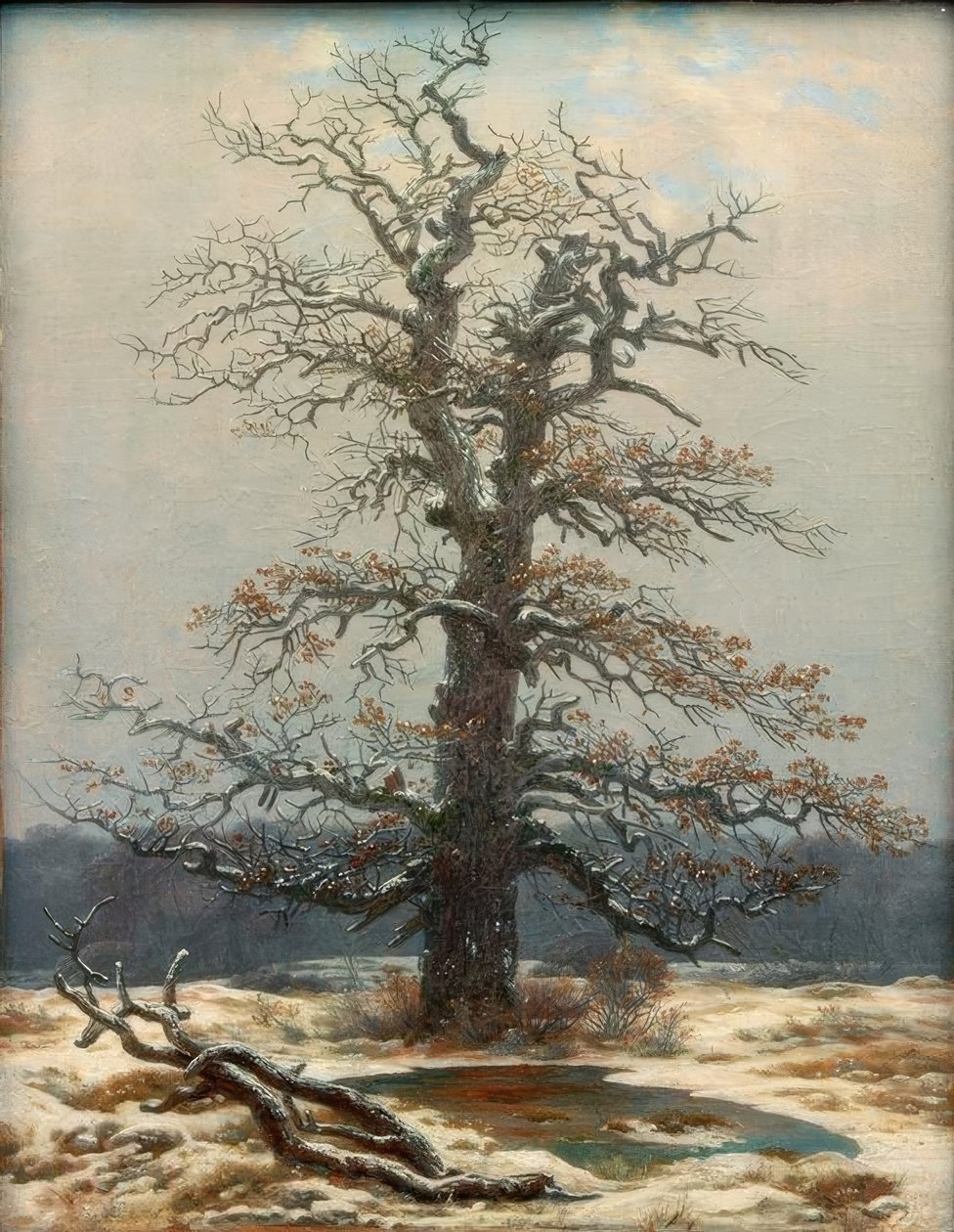 Ek i snön av Caspar David Friedrich