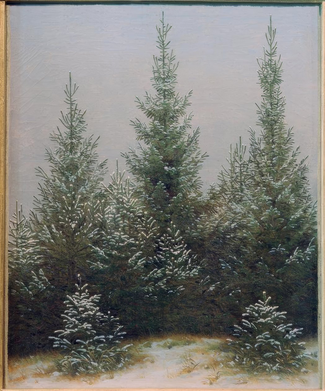 Gransnår i snön av Caspar David Friedrich