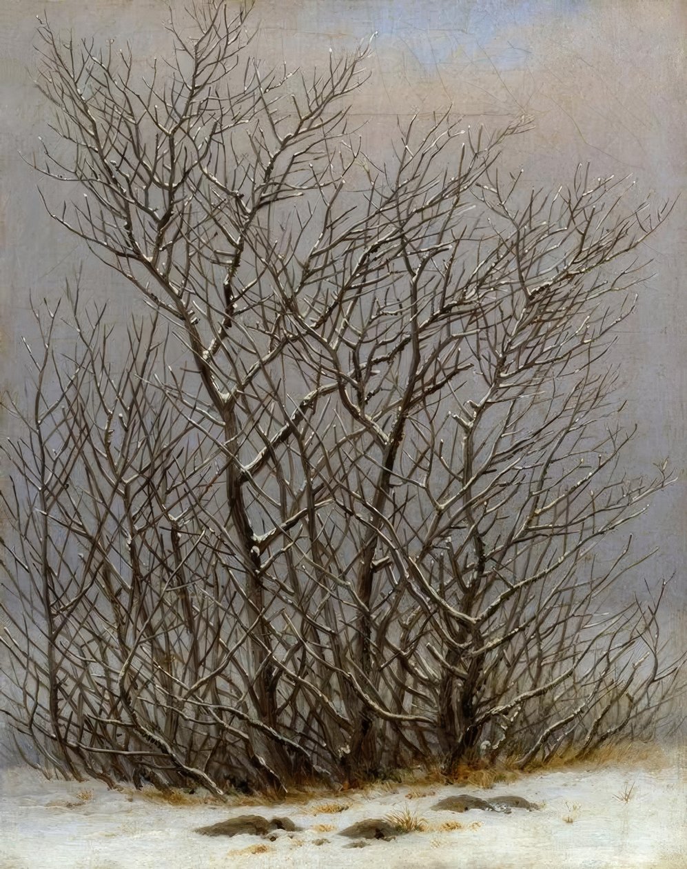 Buskar i snön av Caspar David Friedrich