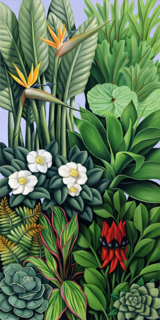 Bladverk II av Catherine Abel