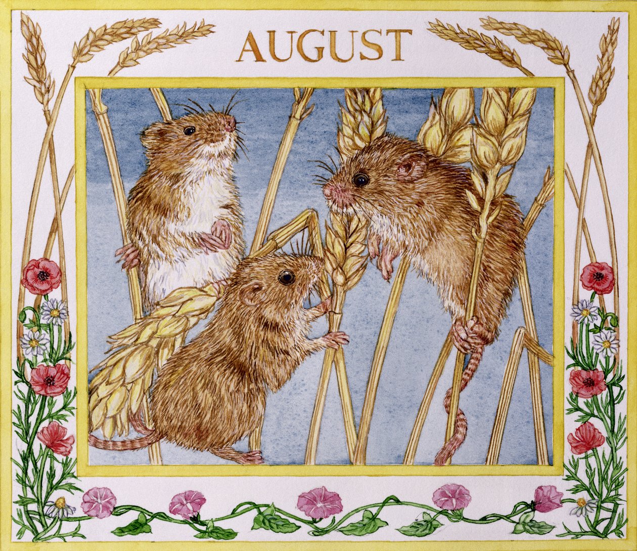 augusti (wc på papper) av Catherine Bradbury