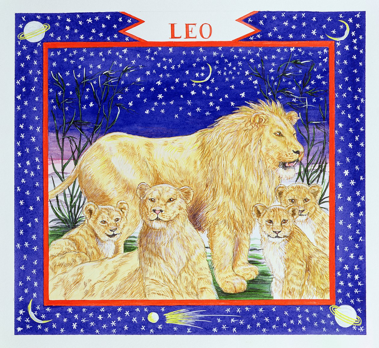 Leo (wc på papper) av Catherine Bradbury