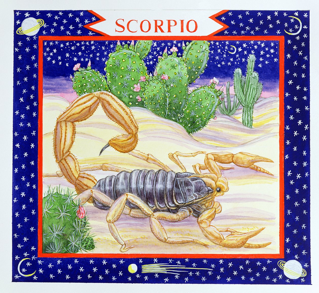 Scorpio (wc på papper) av Catherine Bradbury