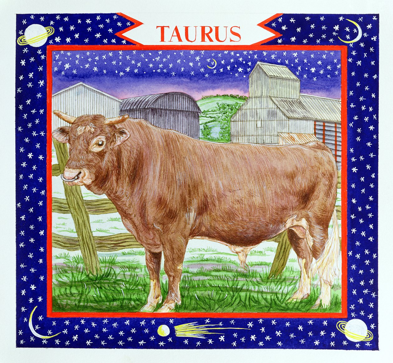 Taurus (wc på papper) av Catherine Bradbury