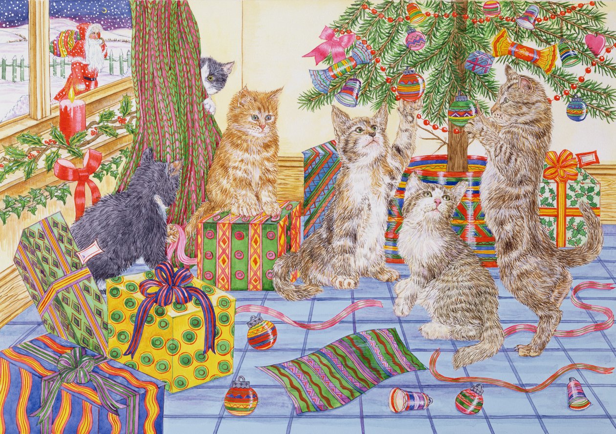 The Cats Christmas (wc på papper) av Catherine Bradbury