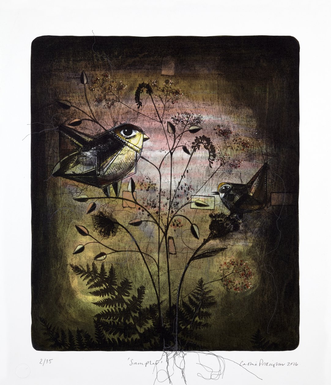 Sampler, 2016 (mokulito-litografi med handkolorering) av Cathie Pilkington
