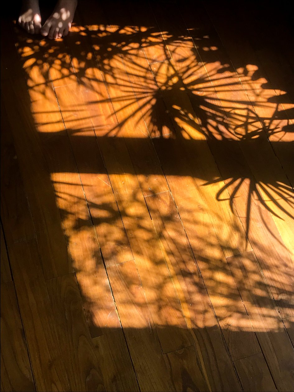 Komposition - Skuggor, 2019 (foto) av Cécile Jamet