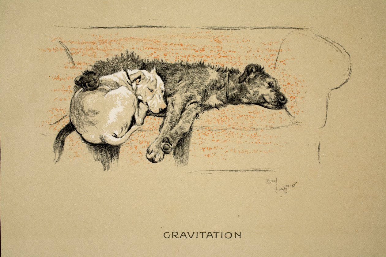 Gravitation, 1930, 1:a upplagan av 