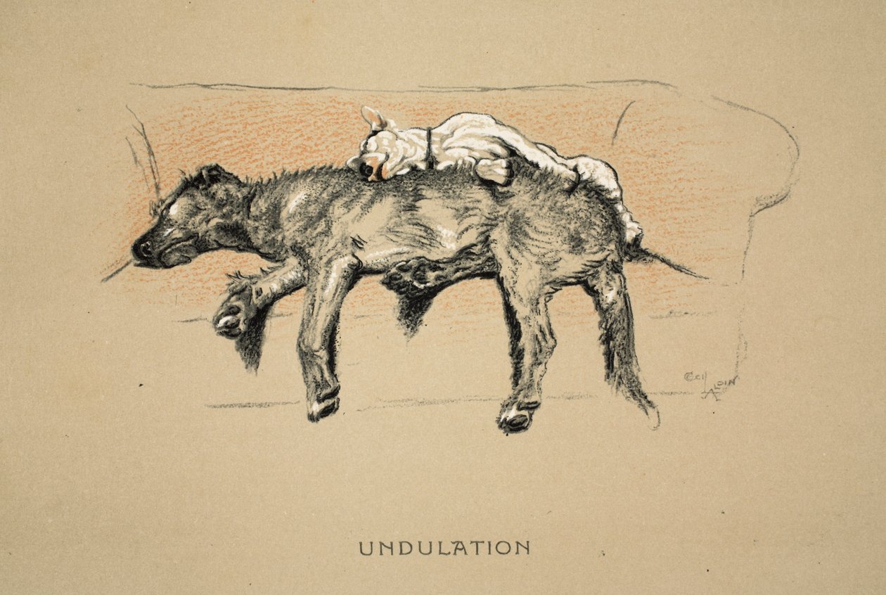 Undulation, 1930, 1:a upplagan av 