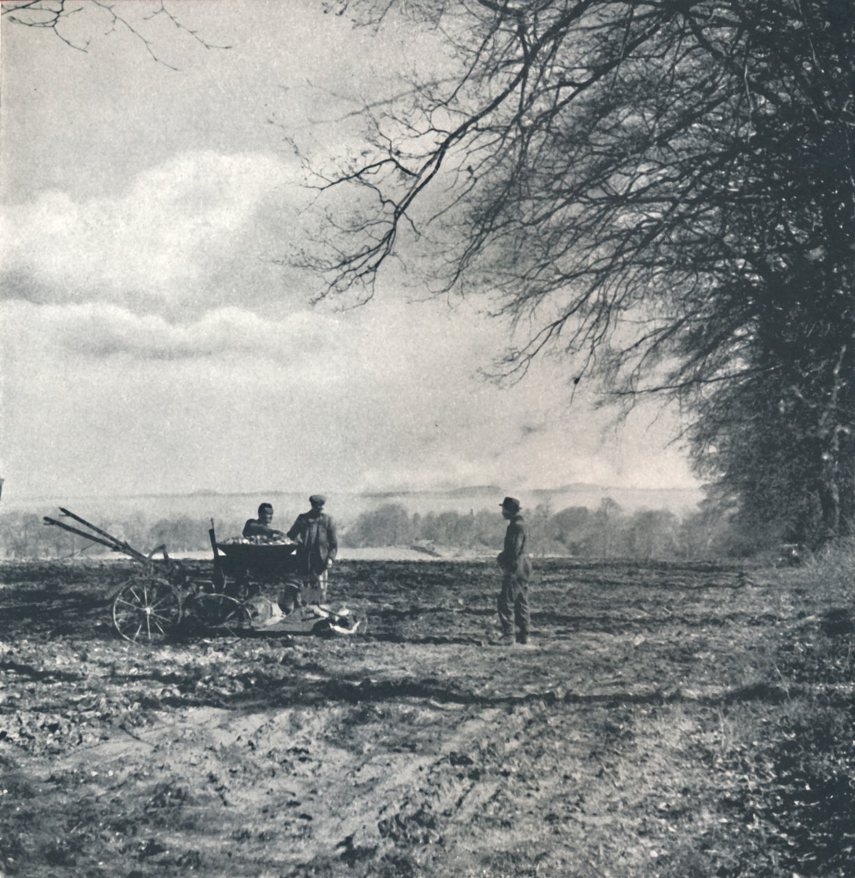 Långt till åker och fåra, 1941 av Cecil Beaton