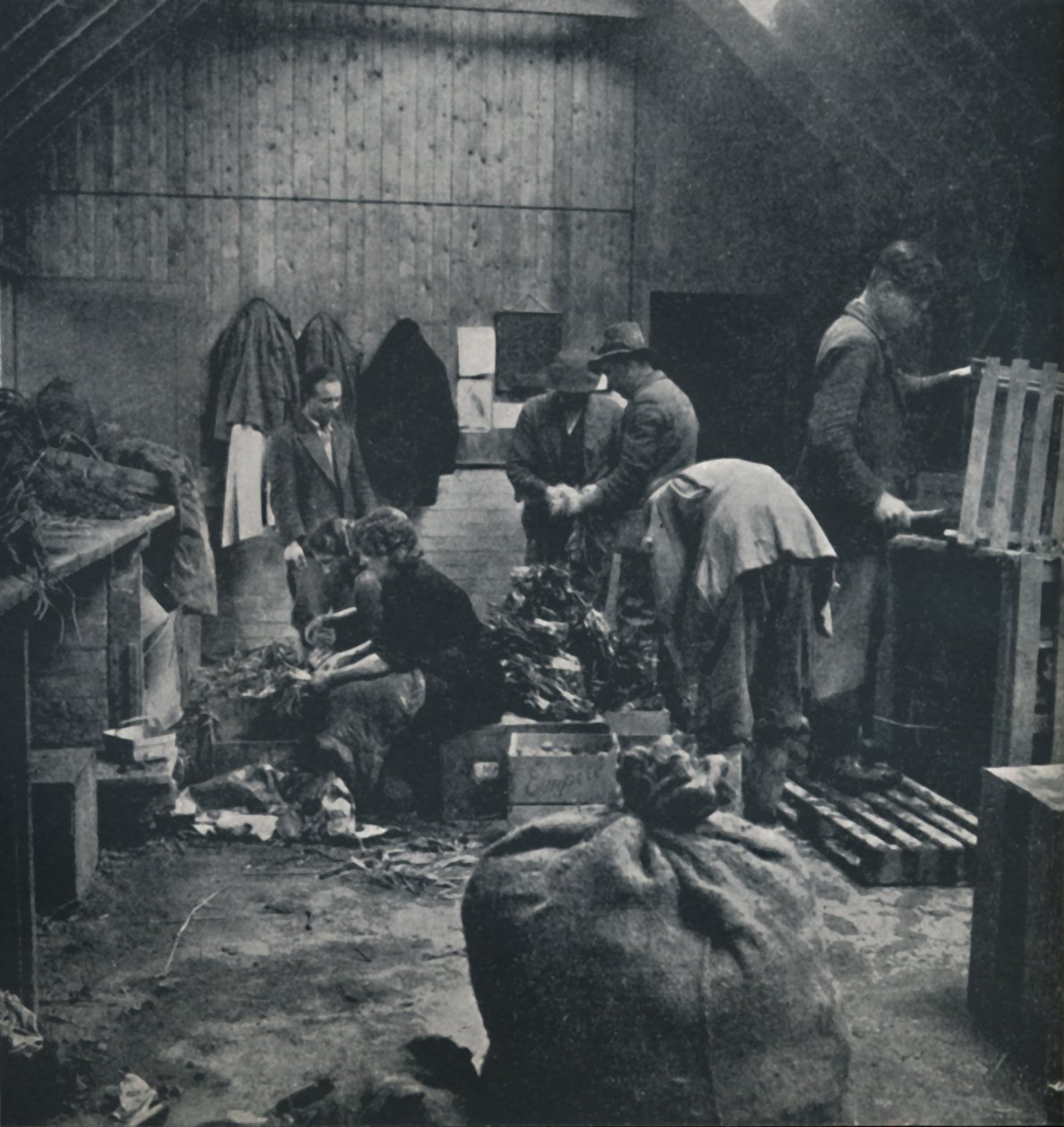Grönsaker för marknaden, 1941 av Cecil Beaton