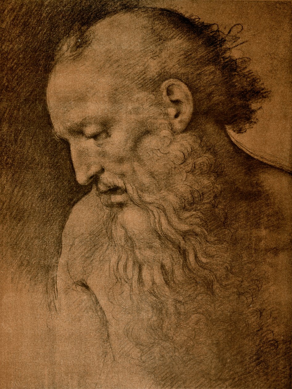 Gå till St. Jerome av Cesare da Sesto