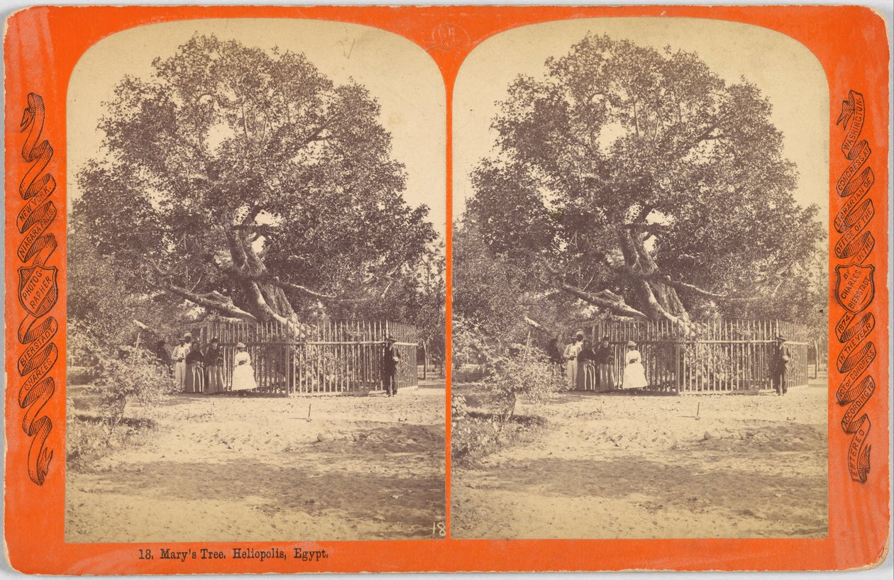 Marys Tree. Heliopolis, Egypten. av Charles Bierstadt