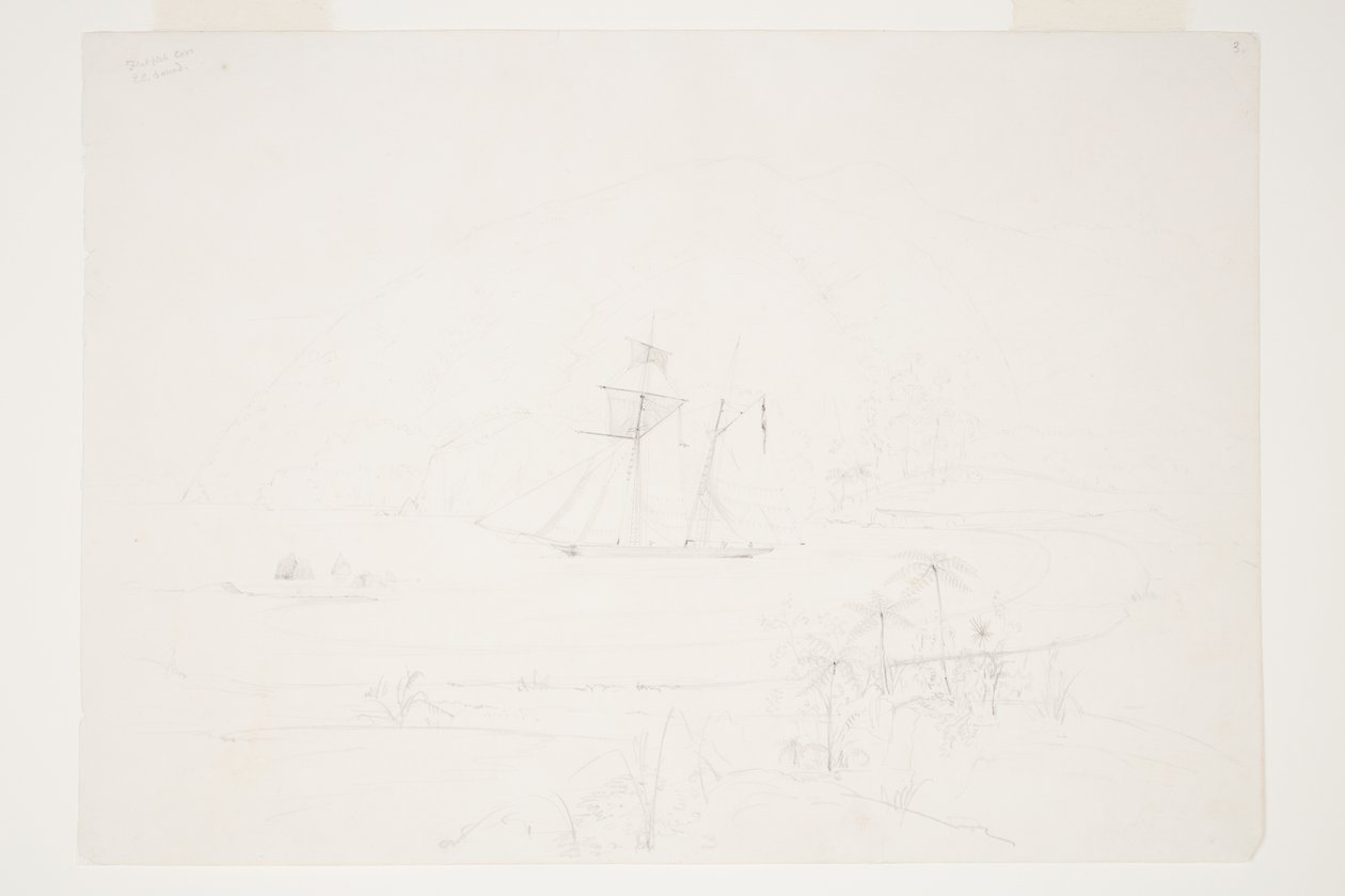 Flatfish Cove Q.C. Ljud av Charles Heaphy