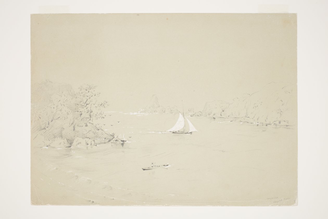 Wangaaihu Wangaroa Coast av Charles Heaphy