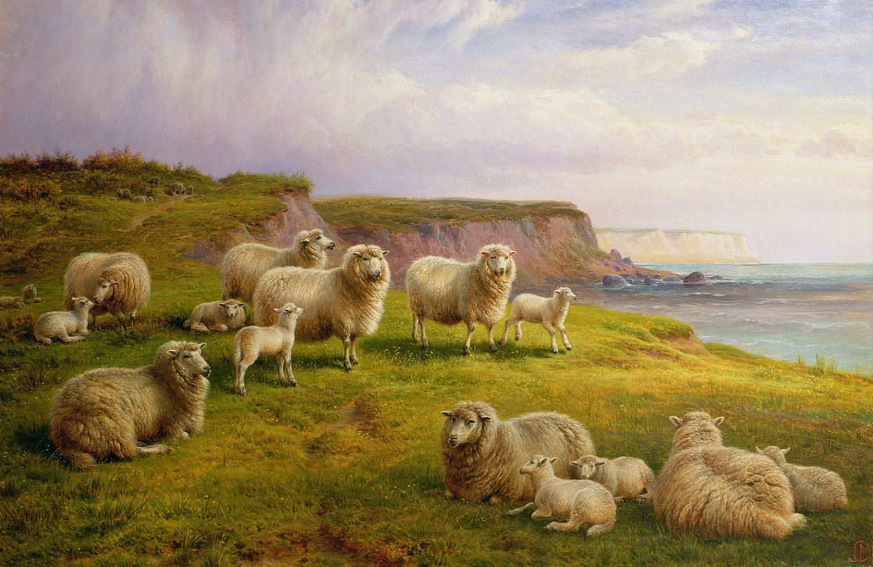 Får på en Dorsetkust av Charles Jones