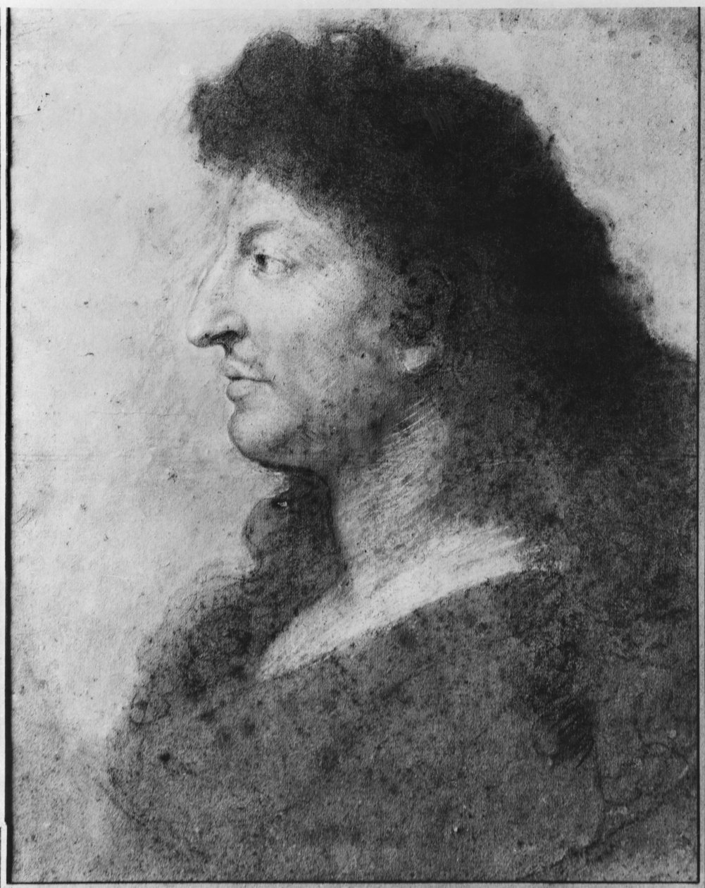 Ata o Louis XIV i le talaaga, ma le ua ma le lauulu uumi, c.1678 (pastel ma pierre noire i luga o le pepa beige efuefu) (tagai foi 177108)swed av Charles Le Brun