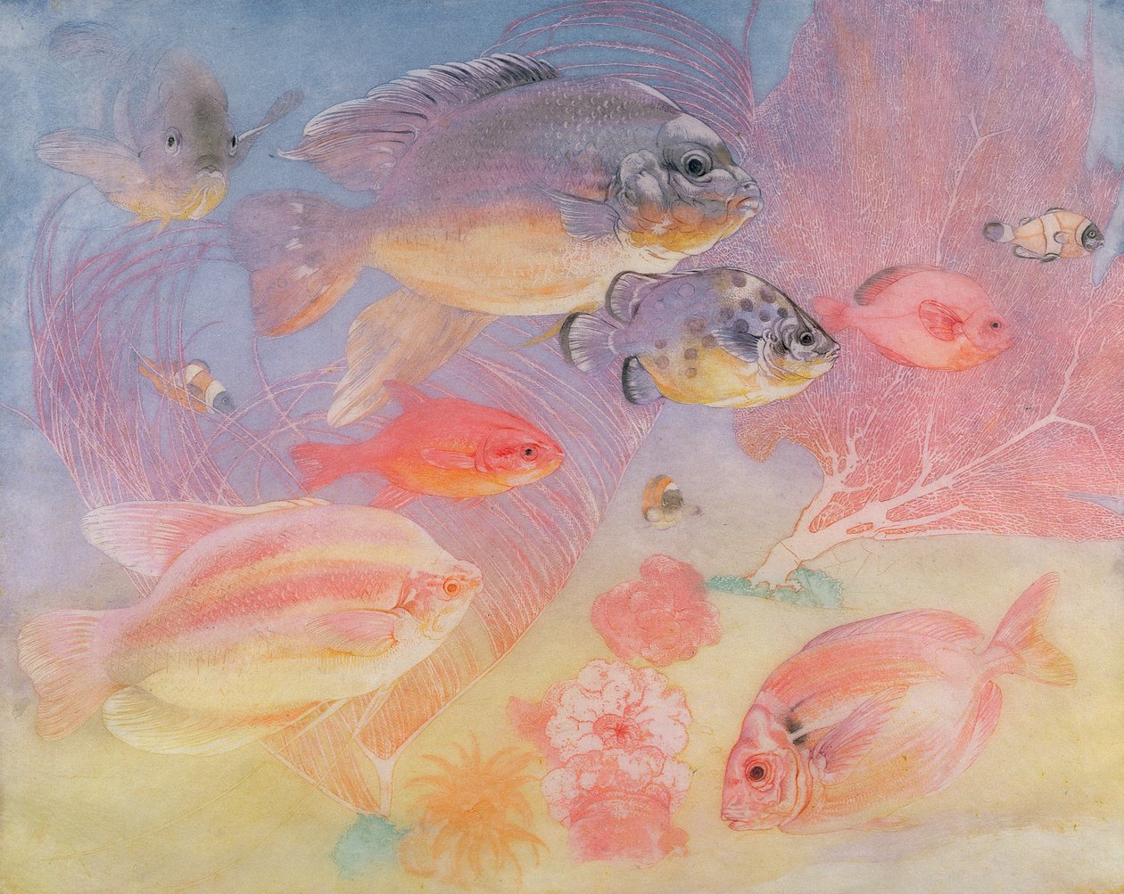 Tropiska fiskar av Charles Maurice Detmold
