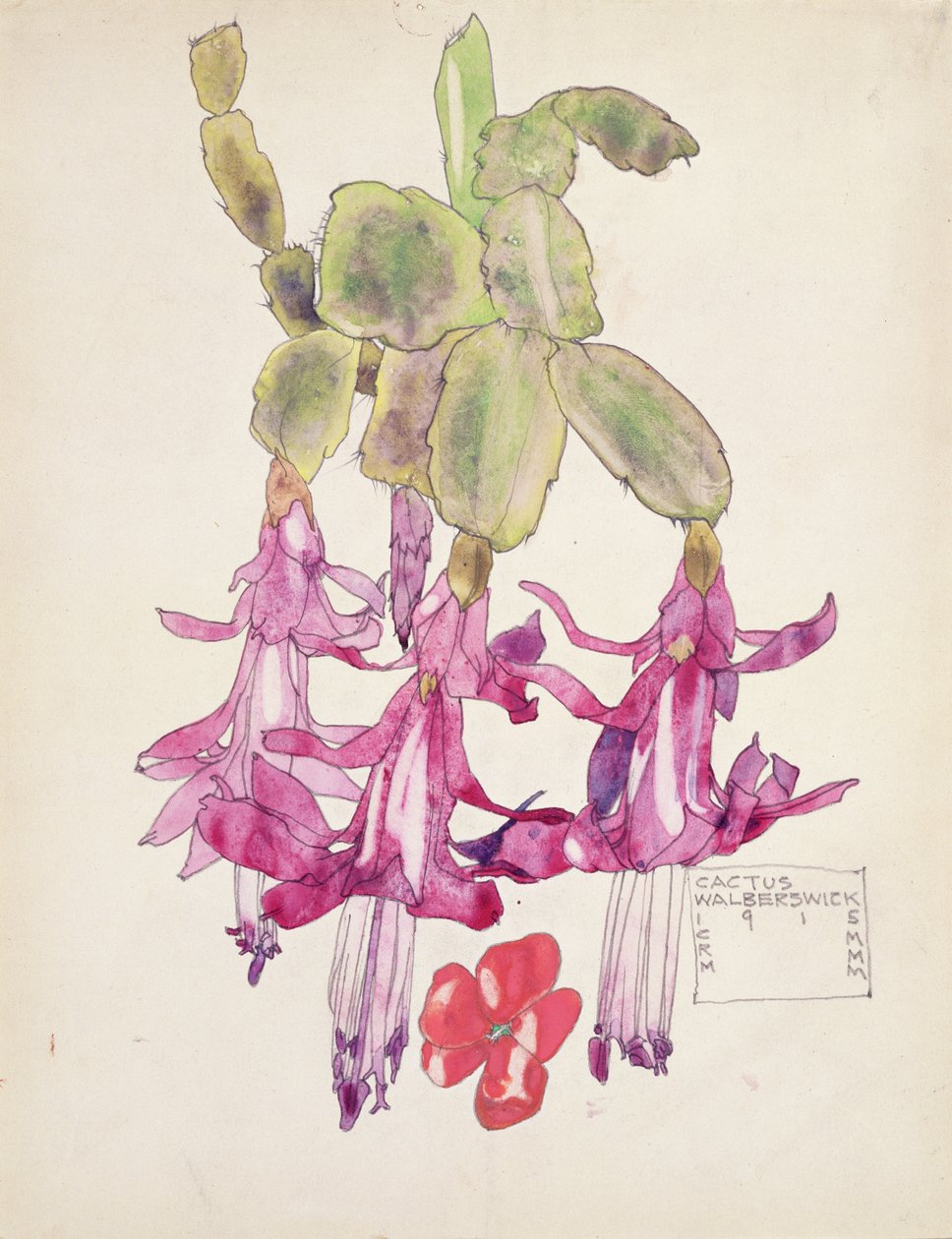 Kaktusblomma av Charles Rennie Mackintosh