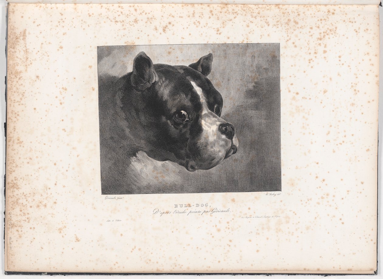 Bulldogg av Charles Aubry