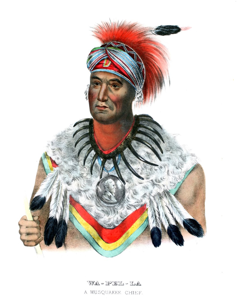 Wapella av Charles Bird (after) King