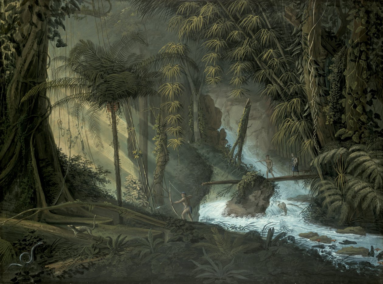 Brasiliansk skog av Charles Comte de Clarac