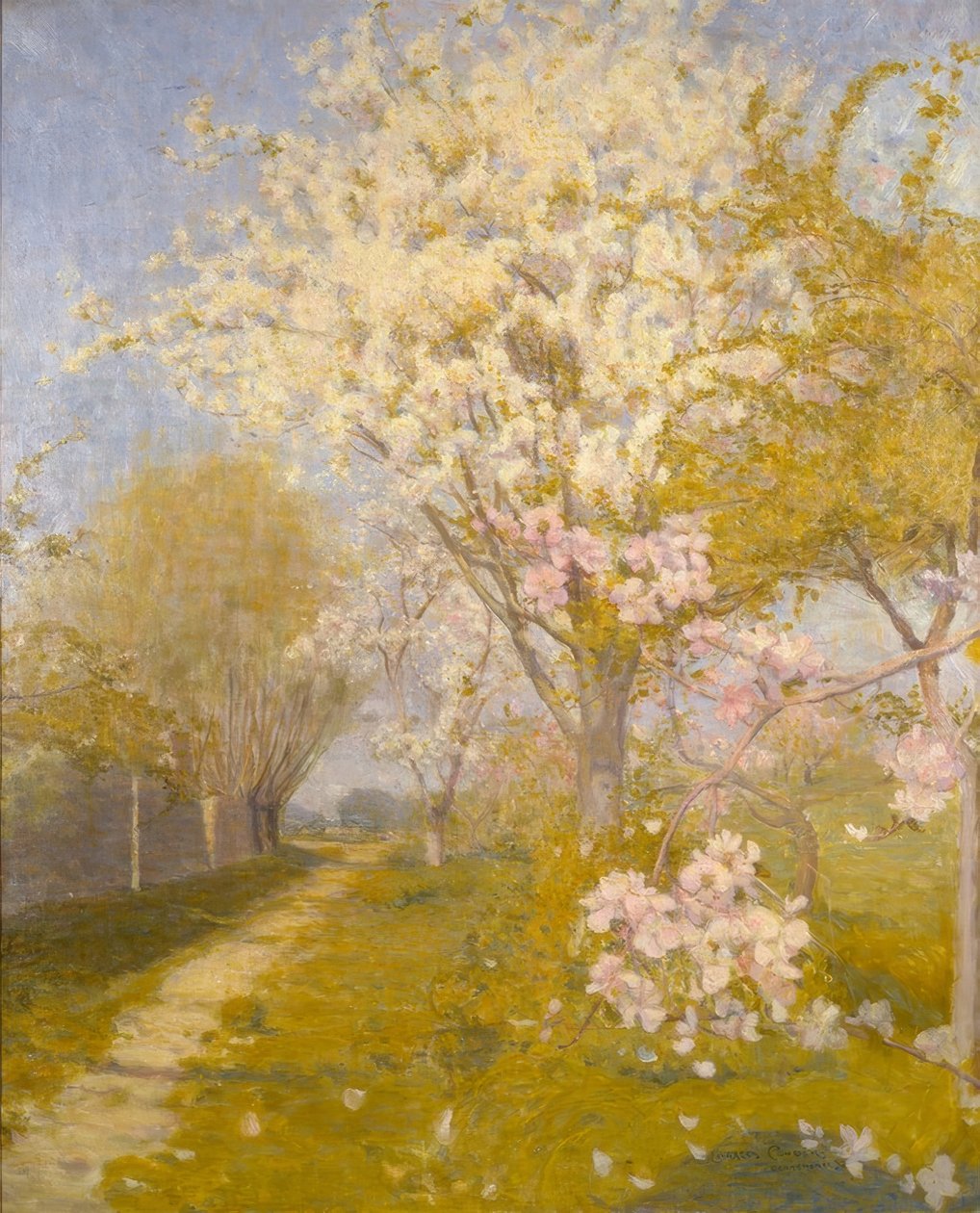 Apple Blossom på Dennemont av Charles Edward Conder