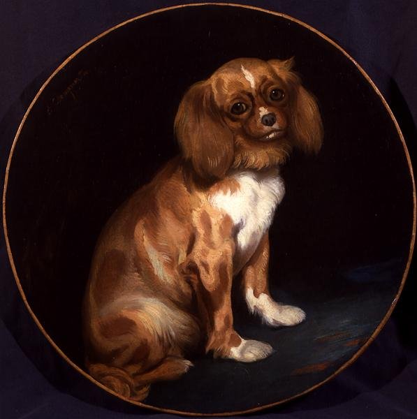En King Charles Spaniel av Charles Emile Callande de Champmartin