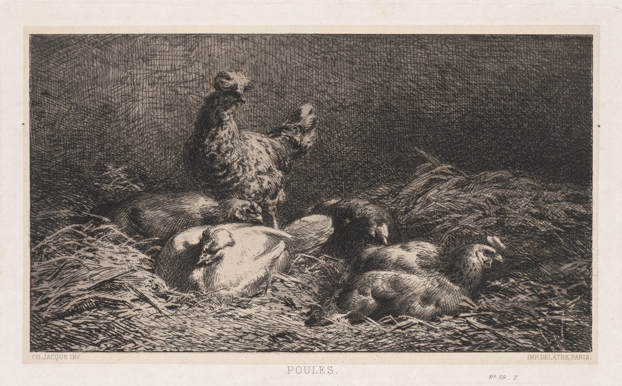Kycklingar av Charles Emile Jacque